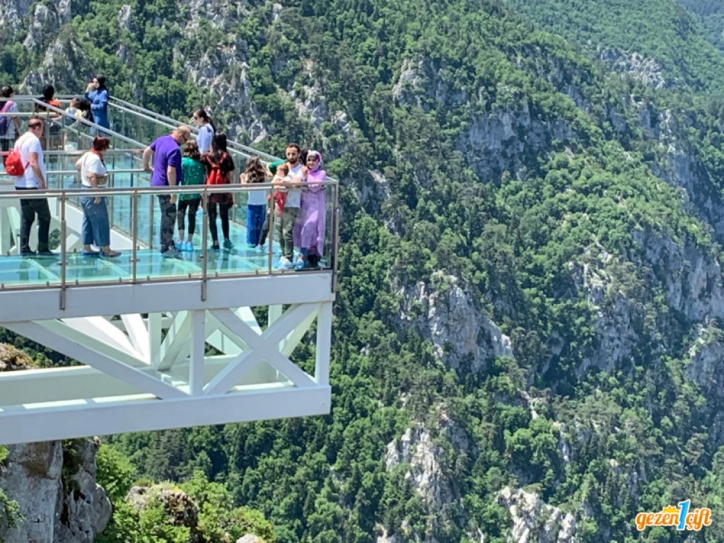 Ormanya, Sapanca, Maşukiye Tour Departing from Bursa