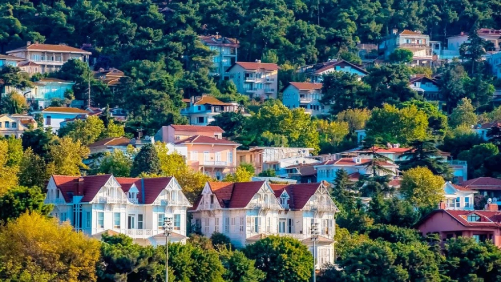 Istanbul Islands Tour from Bursa