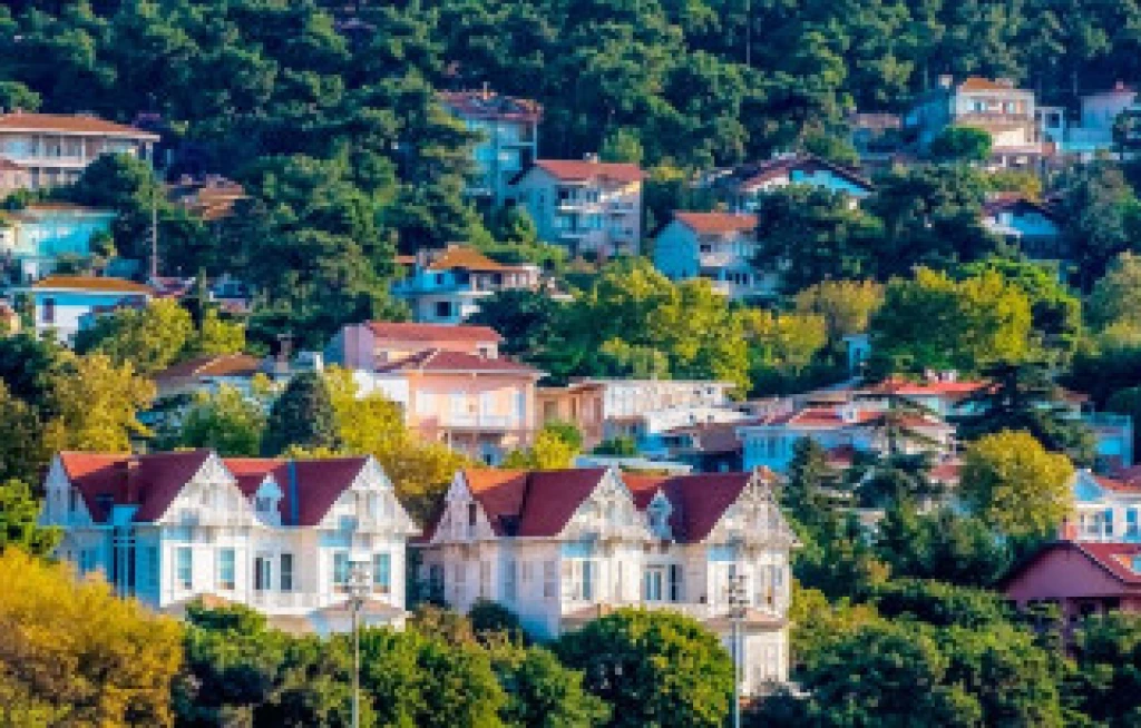 Istanbul Islands Tour from Bursa