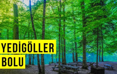 Yedigöller Tour from Bursa