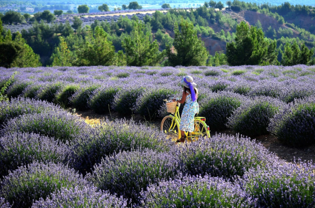 Pamukkale, Lavender Gardens and Salda Tour from Bursa