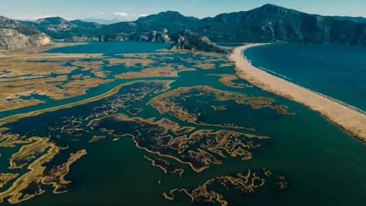 Dalyan & Köyceğiz Mud Baths Tour  by Bus from Marmaris