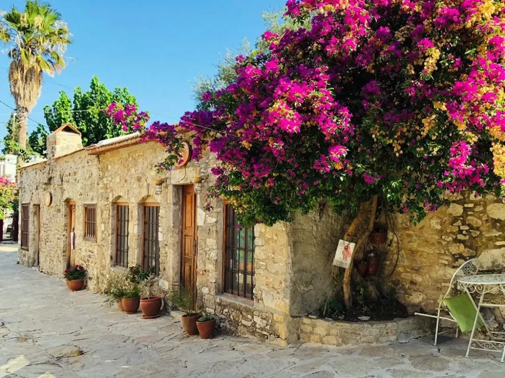 Datca Peninsula Tour from Marmaris with Lunch & Market