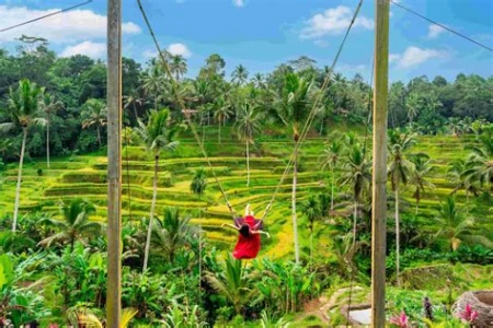 bali 7