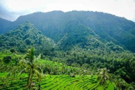 bali 10