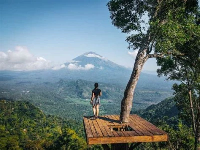 bali 11