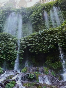 bali 15
