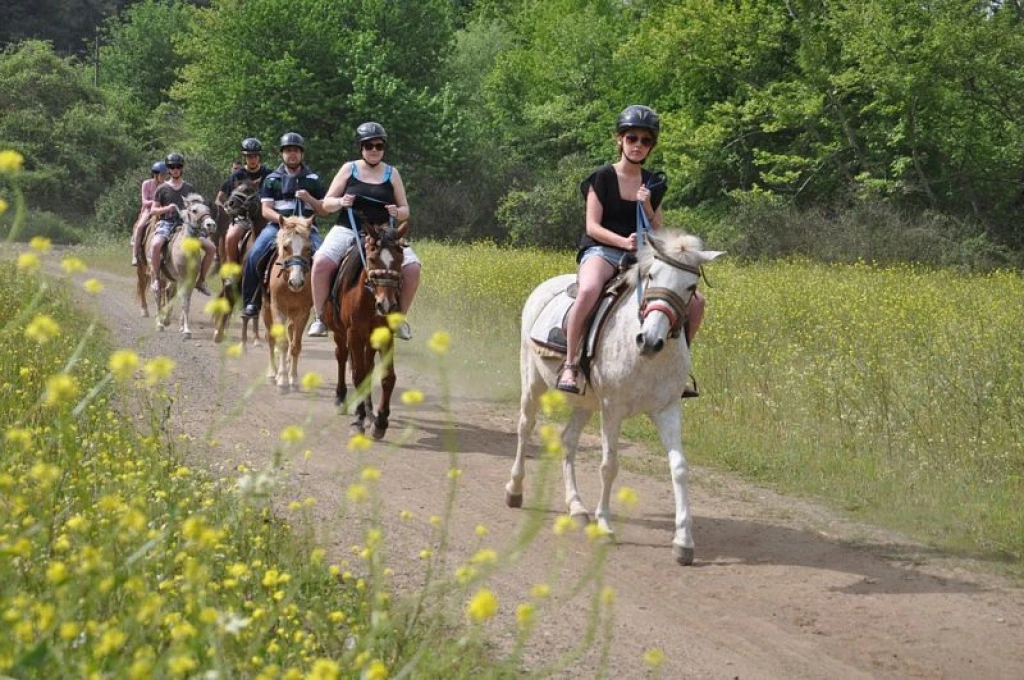 Marmaris Horse Safari & Nature Riding Adventure