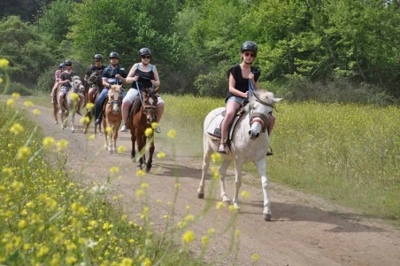Marmaris Horse Safari & Nature Riding Adventure