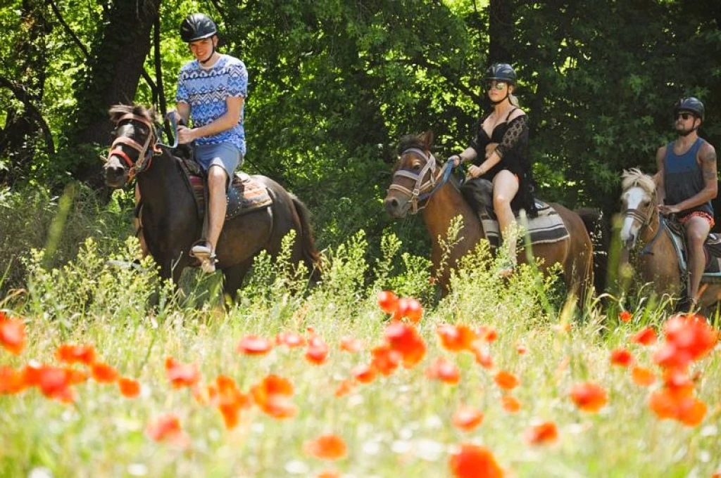 Marmaris Horse Safari & Nature Riding Adventure