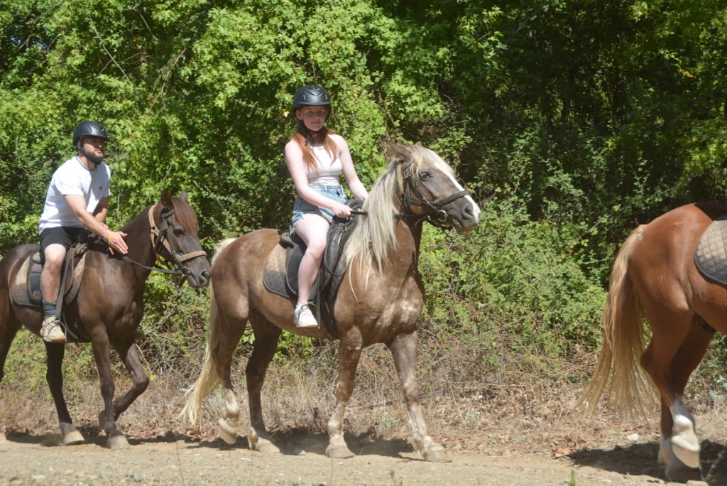 Marmaris Horse Safari & Nature Riding Adventure