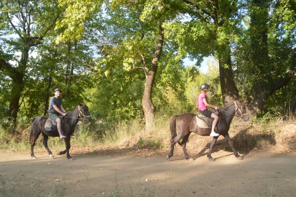 Marmaris Horse Safari & Nature Riding Adventure