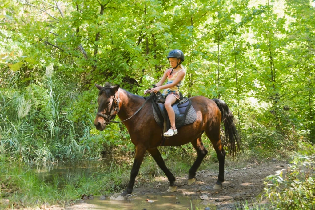 Marmaris Horse Safari & Nature Riding Adventure