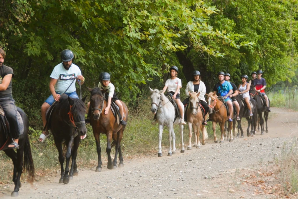 Marmaris Horse Safari & Nature Riding Adventure