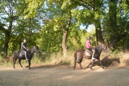 Marmaris Horse Safari & Nature Riding Adventure