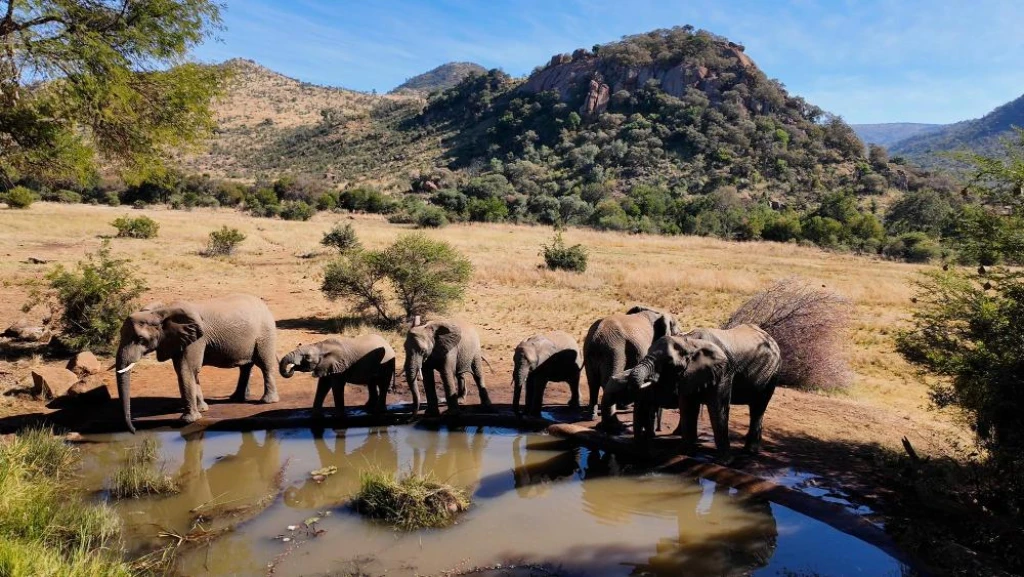 Flex Güney Afrika Turu