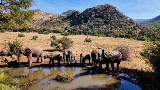 Flex Güney Afrika & Safari Turu