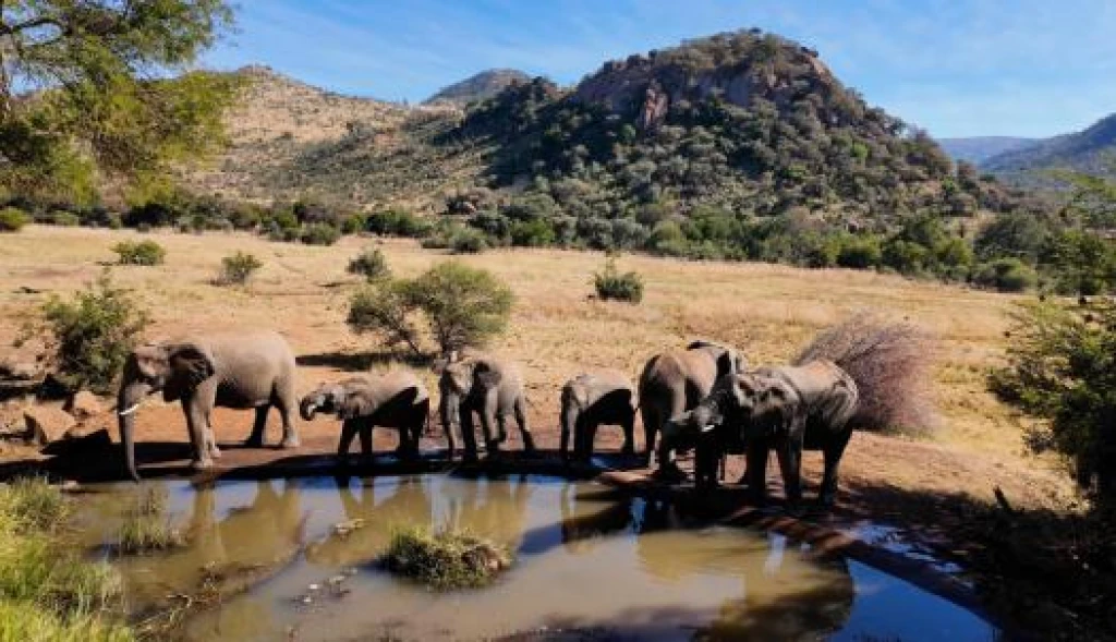 Flex Güney Afrika & Safari Turu
