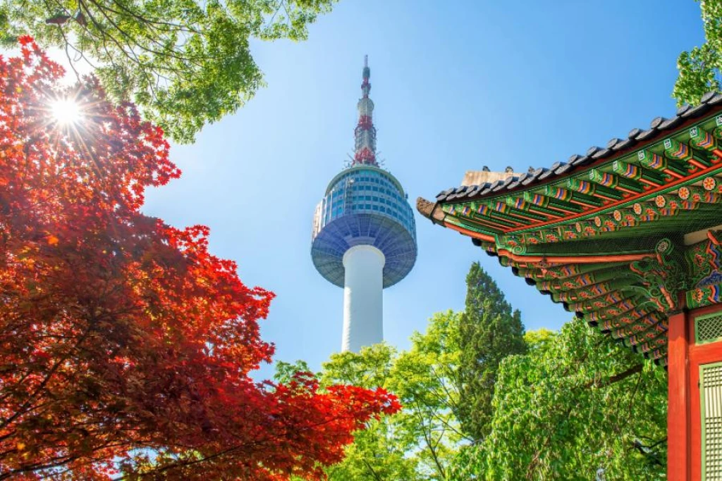 Elegant South Korea Tour with Turkish Airlines