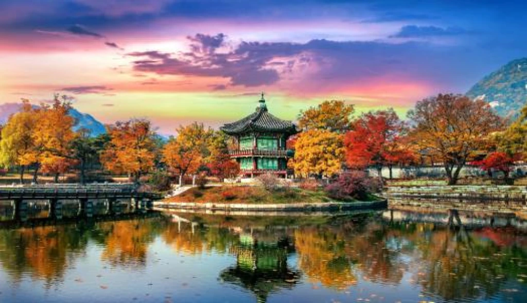 Elegant South Korea Tour with Turkish Airlines