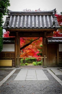 Türk Hava Yolları ile Elegant Japonya & Güney Kore Turu 7 Gece