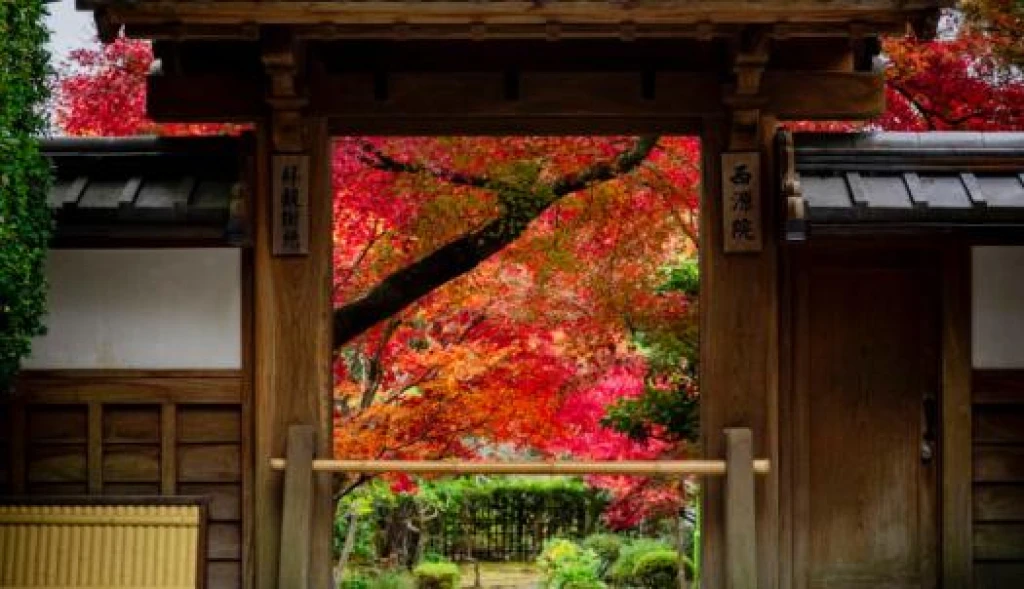Türk Hava Yolları ile Elegant Japonya & Güney Kore Turu 7 Gece