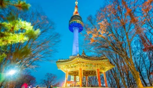 Türk Hava Yolları ile Elegant Japonya & Güney Kore Turu 7 Gece