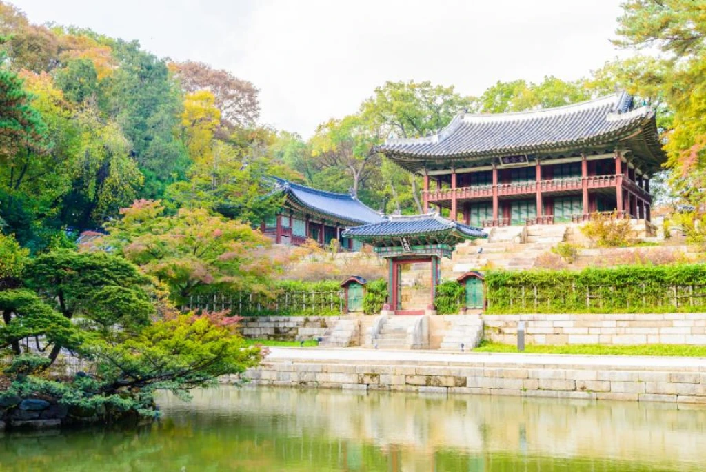 Türk Hava Yolları ile Elegant Japonya & Güney Kore Turu 7 Gece