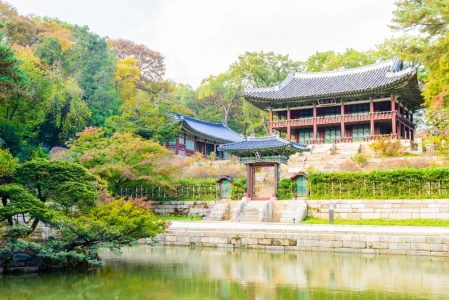 Türk Hava Yolları ile Elegant Japonya & Güney Kore Turu 7 Gece
