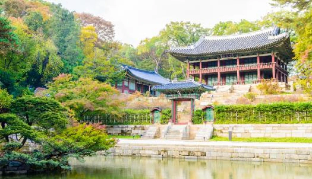 Türk Hava Yolları ile Elegant Japonya & Güney Kore Turu 7 Gece