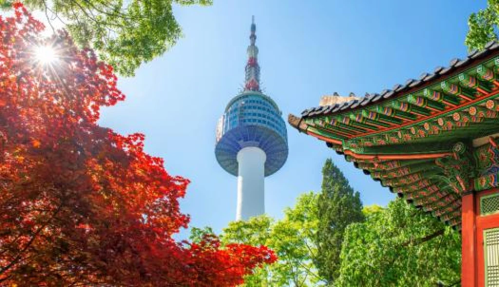 Türk Hava Yolları ile Elegant Japonya & Güney Kore Turu 7 Gece