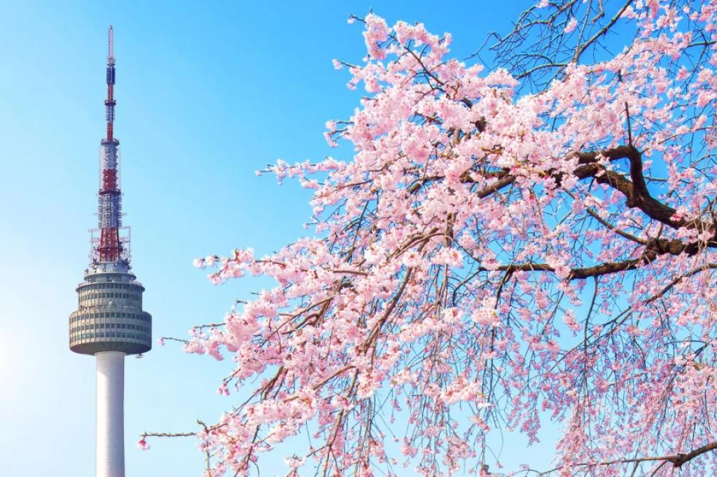 Türk Hava Yolları ile Elegant Japonya & Güney Kore Turu 7 Gece