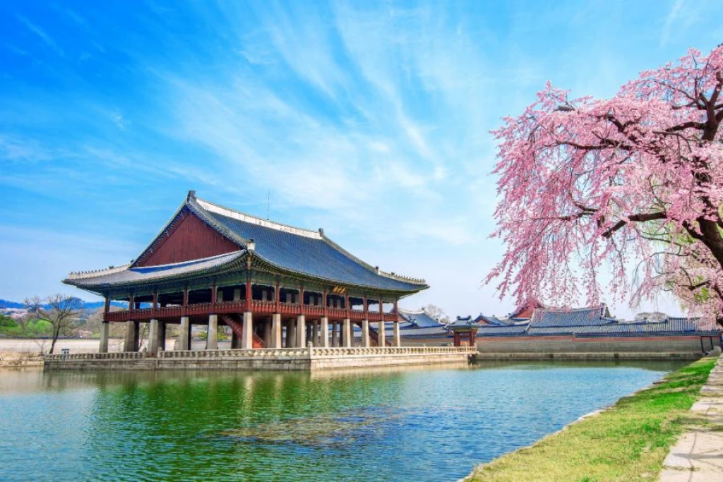Türk Hava Yolları ile Elegant Japonya & Güney Kore Turu 7 Gece