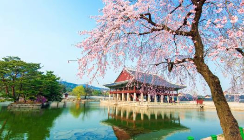 Türk Hava Yolları ile Elegant Japonya & Güney Kore Turu 7 Gece