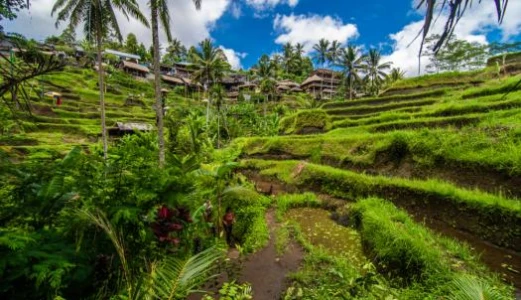 Türk Hava Yolları ile Elegant Bali Turu 