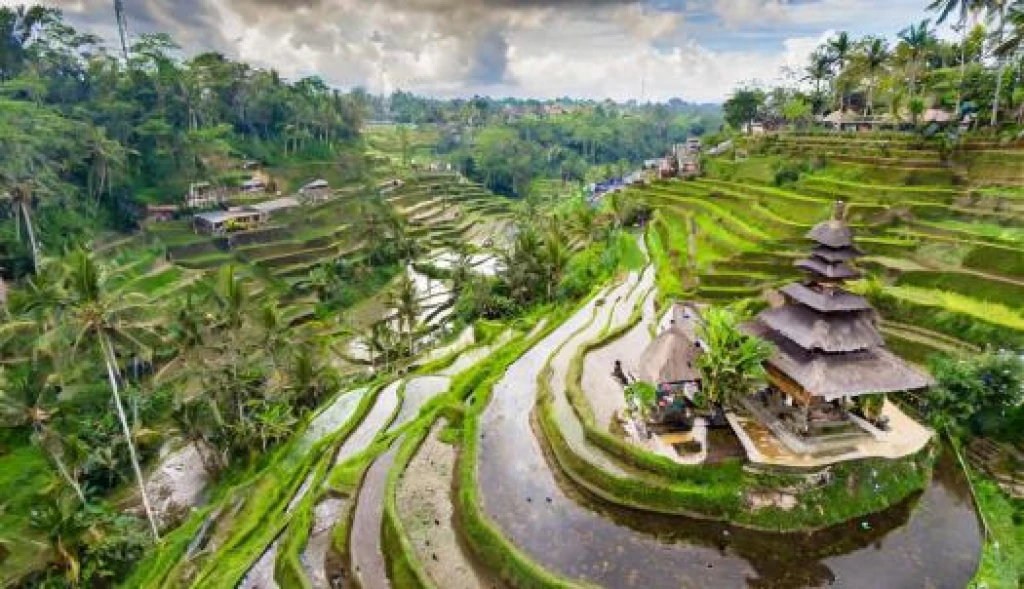Türk Hava Yolları ile Elegant Bali Turu 