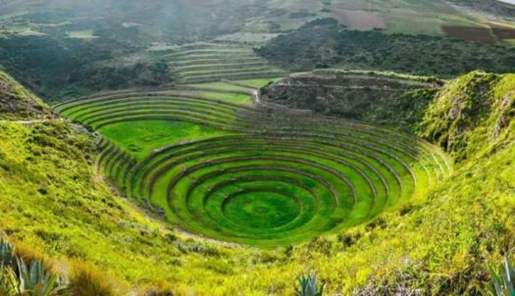 Elegant Sudamérica en 7 países