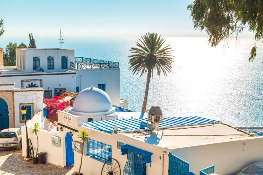 Elegant Sahara Desert and Tunisia Treasures Tour with Turkish Airlines