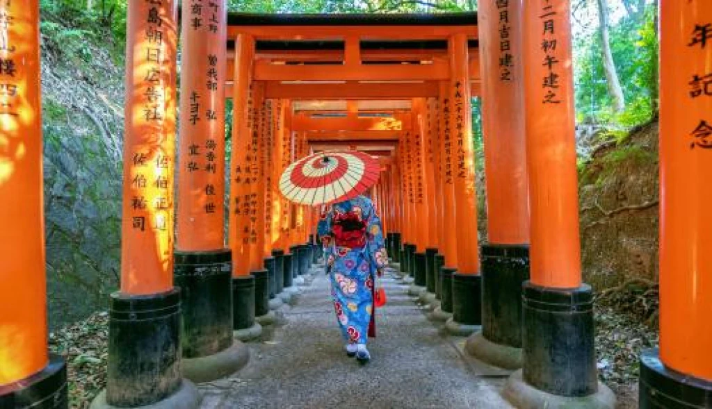 Tour Elegante de Japón y Corea del Sur de 9 noches con Turkish Airlines