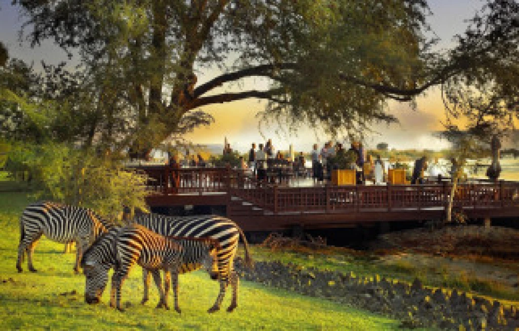 Elegant Güney Afrika'da 4 Ülke & Victoria Şelalesi Turu