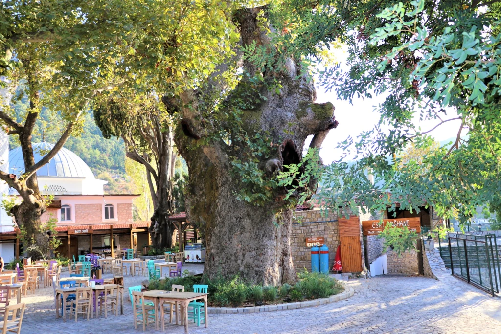 Dorf-Tour in Marmaris mit Wasserfällen und Jesus-Strand