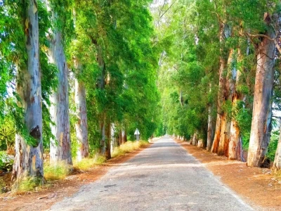 Marmaris Yuvarlakçay Tour with Lunch & Akyaka River Cruise with Lunch