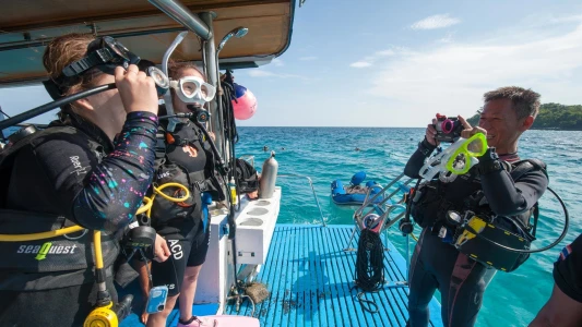 Scuba Diving Experience Hotel Pickup, Lunch, and 2 Dives from Fethiye