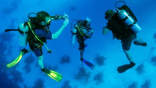 Scuba Diving Experience in Bodrum Bays