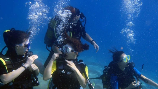 Scuba Diving Experience in Bodrum Bays