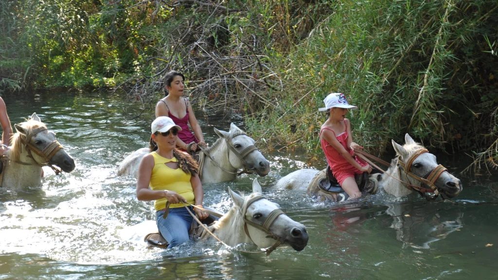 Bodrum Horse Riding Tour with Hotel Transfer
