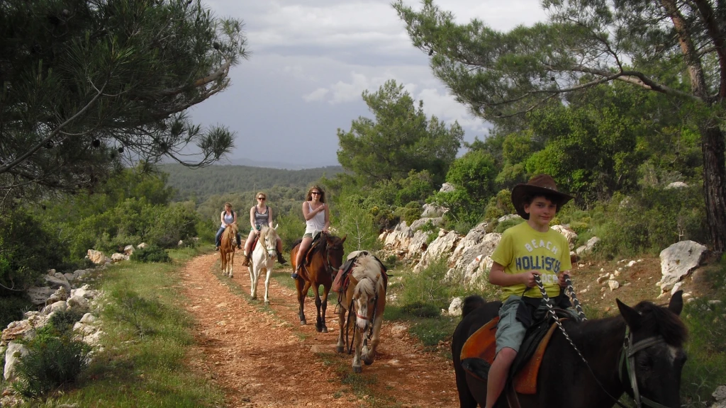 Bodrum Horse Riding Tour with Hotel Transfer