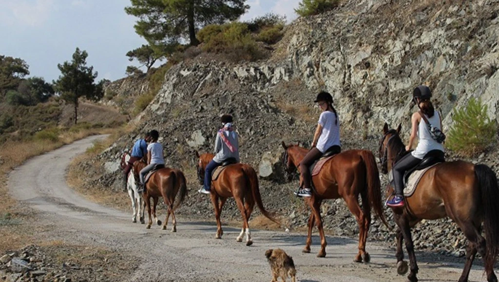 Bodrum Horse Riding Tour with Hotel Transfer