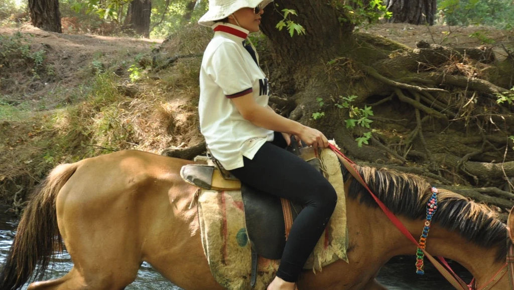 Bodrum Horse Riding Tour with Hotel Transfer