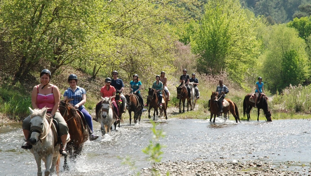 Bodrum Horse Riding Tour with Hotel Transfer